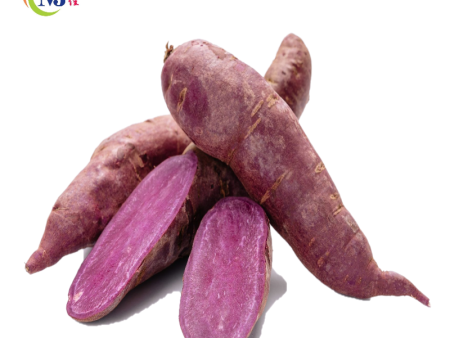 KELEDEK UNGU   Sweet potato Purple Hot on Sale