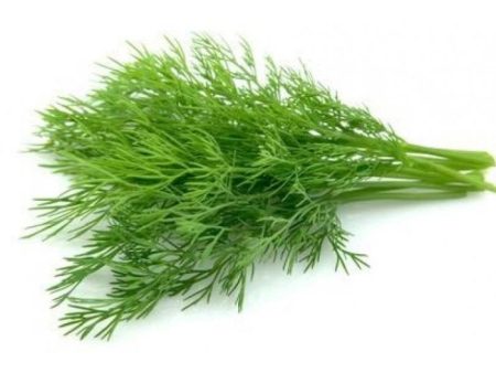 DILL LEAF Dried Herb 50g pack For Cheap