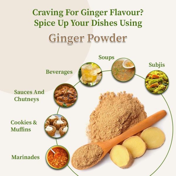 HALIA   GINGER Powder Ground Fashion