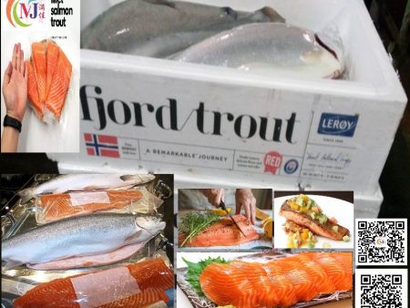 FISH SALMON TROUT WILD Norway FRESH Online Hot Sale