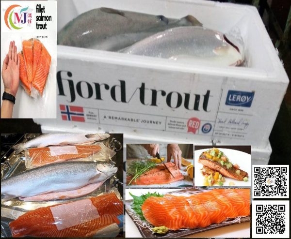 FISH SALMON TROUT WILD Norway FRESH Online Hot Sale