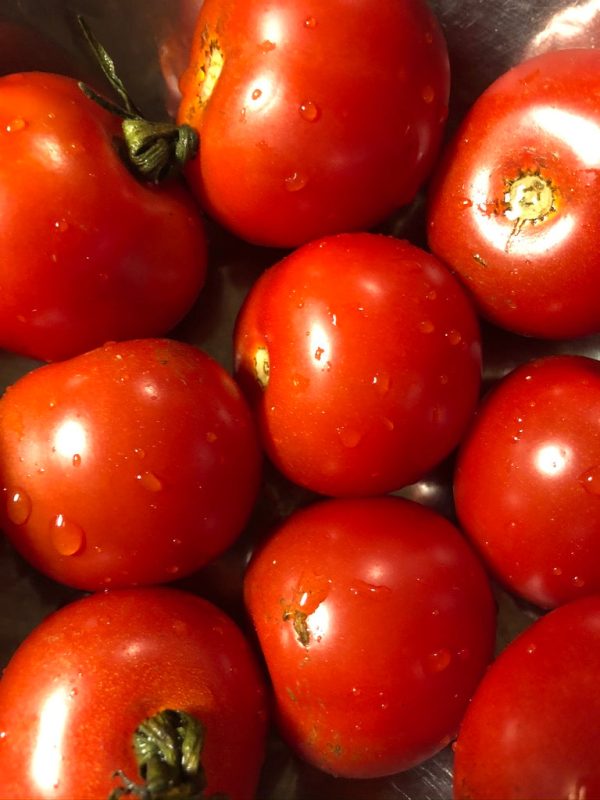 Tomate cerise Cherry Fox Hot on Sale