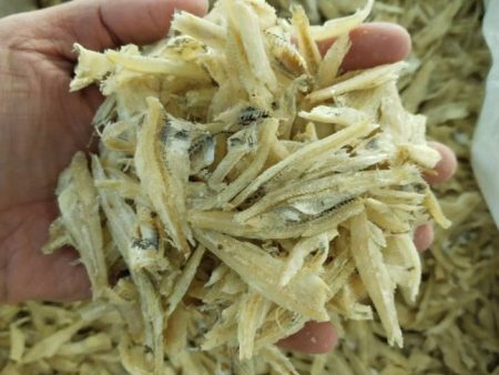 BILIS ANCHOVY WHITE PEEL (A1) 2   PulauPangkor Supply