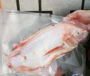 FISH TILAPIA RED WaterFall Clean And Vaccum Pack -Frozen Hot on Sale