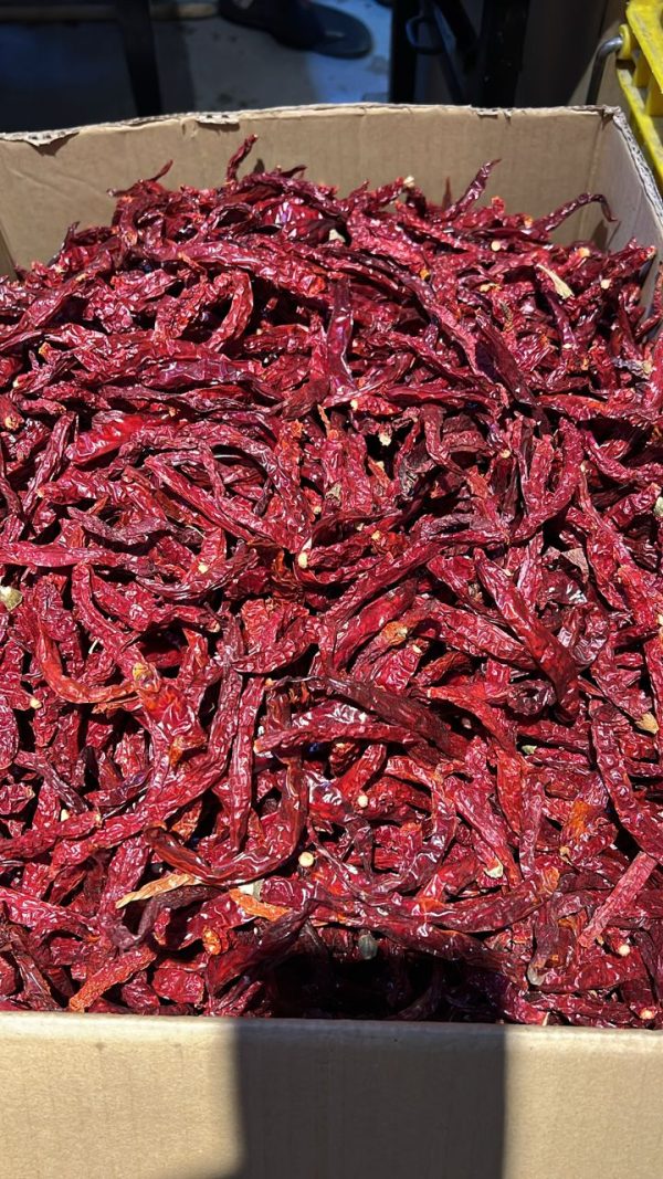 CILI KERING   DRIED CHILLI 668 China Cheap