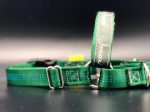 JWalker Training Harness - Green For Cheap