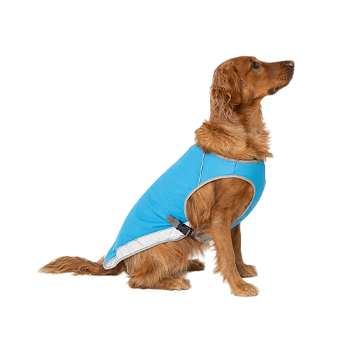 Canada Pooch Chill Seeker - Size 18 For Cheap