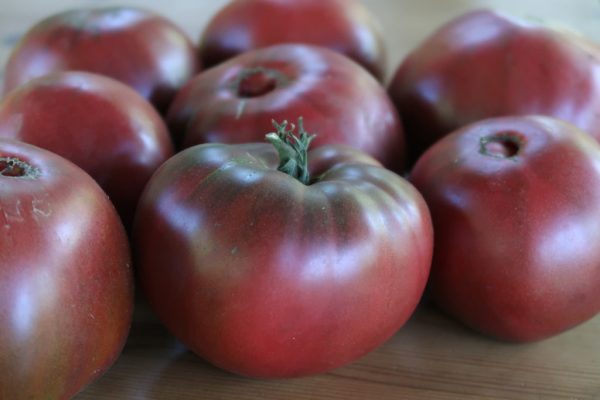 Tomate Carbone on Sale