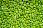 Edamame Midori Giant Supply