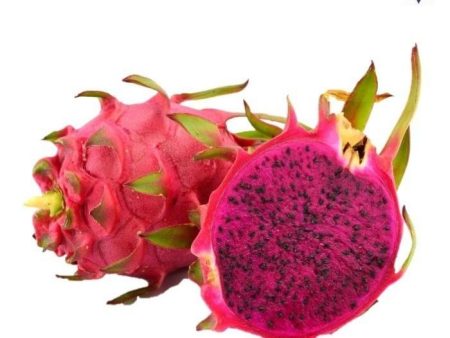 DRAGON FRUIT Red Fresh Online