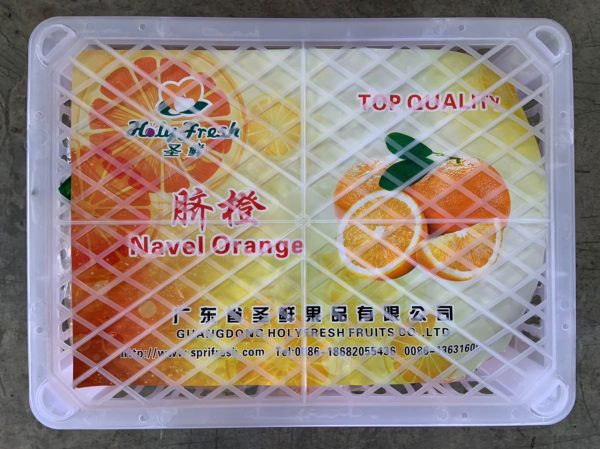 ORANGE Navel China Supply