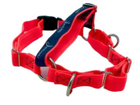 JWalker Training Harness - Orange For Discount