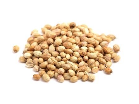 BIJI KETUMBAR   Coriander Seed Cheap