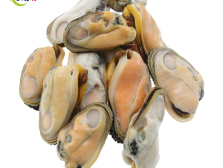 MUSSEL MEAT New Zealand For Discount