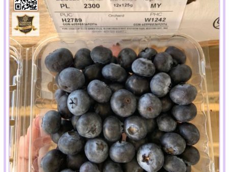 Blueberries Australian Fresh 125g pack Hot on Sale