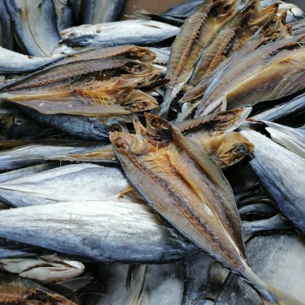 FISH SALTED IKAN MASIN TALANG QueenFish Online now