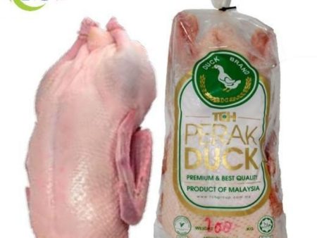 DUCK WHOLE BIRD Frozen Gred-A Supply