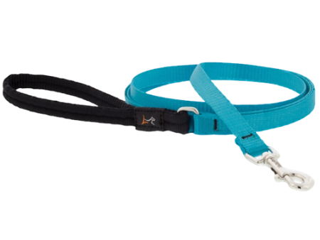 Lupine Basic Leash - Auqa 4ft Online