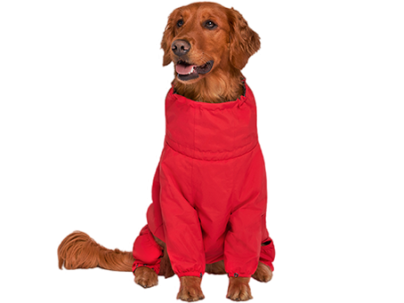 Canada Pooch Thermal Snowsuit - Size 14 Online Hot Sale