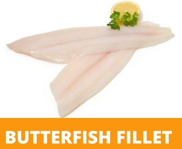 FISH FILLET BUTTER Gred A USA Standard Size Cheap