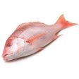 FISH RED IKAN MERAH Fresh on Sale