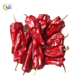 CILI KERING   DRIED CHILLI YIDU China Sale