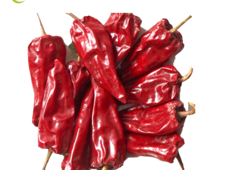 CILI KERING   DRIED CHILLI YIDU China Sale